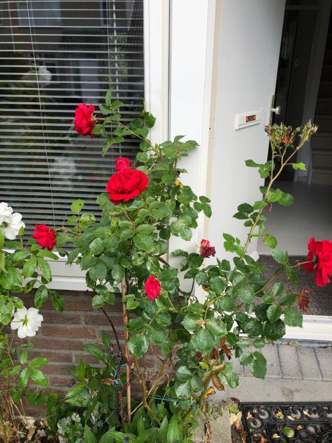 Vakantiewoning In Middelburg Zeeland Bagian luar foto